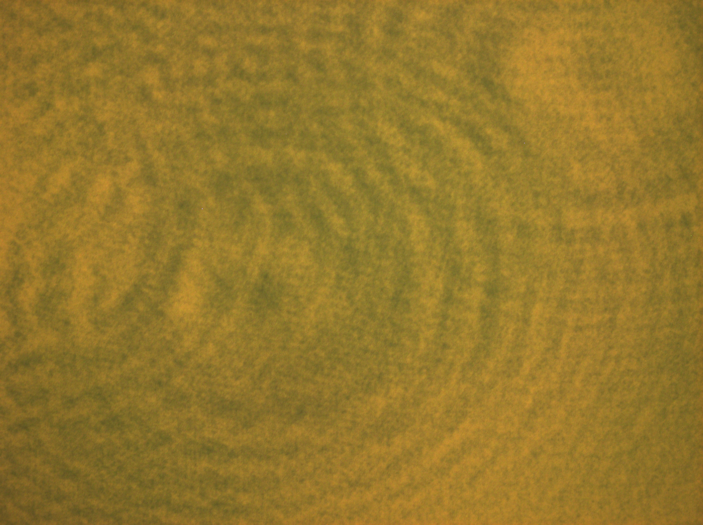 effects_caused_by_dirt