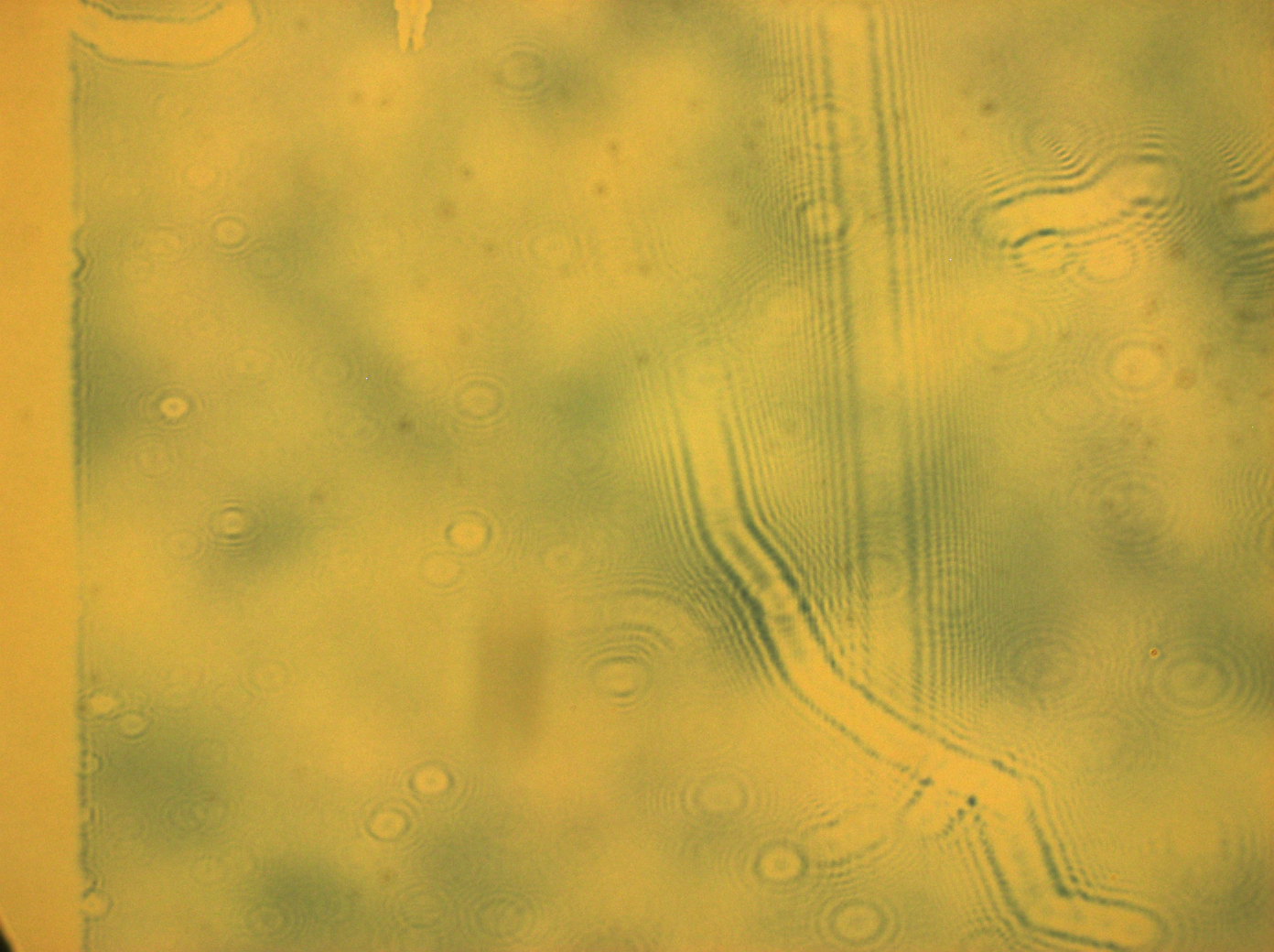 zoomed_out_effects_caused_by_long_particles