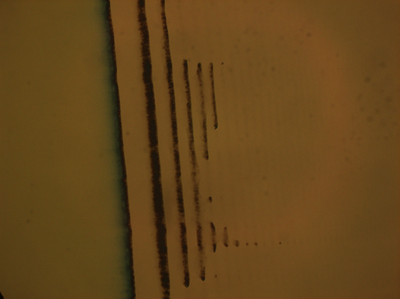 definate_lines_40x