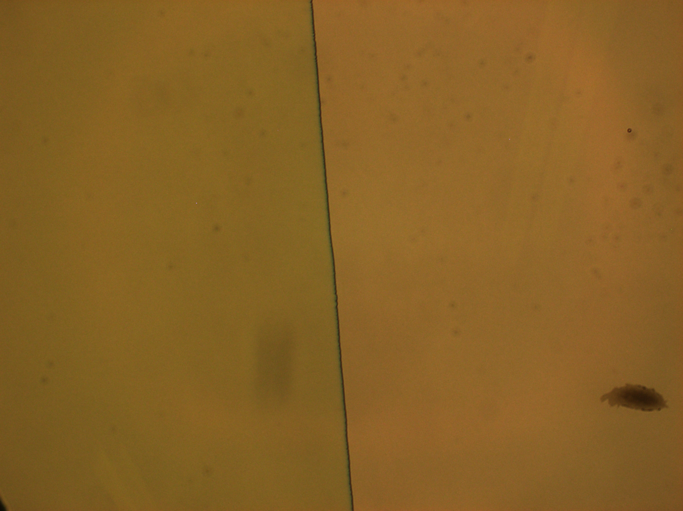 washed_away_edge_from_over_exposure
